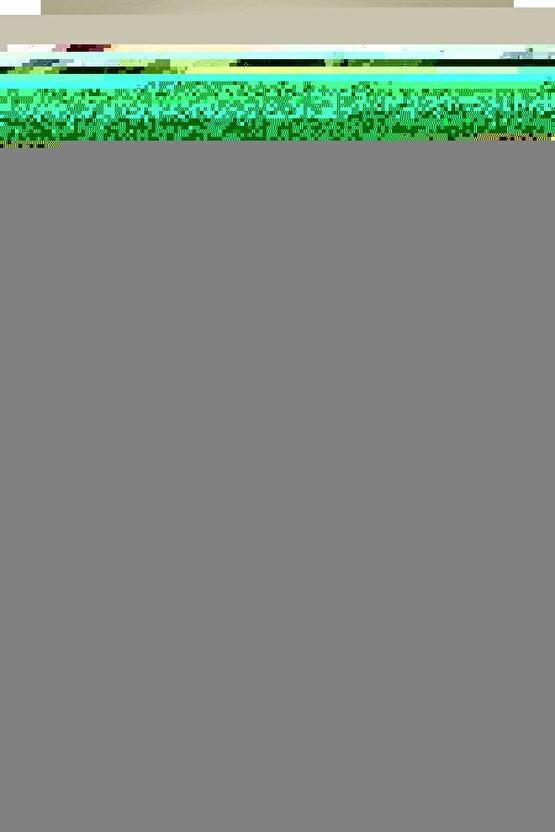 10 Dilim 30x50 cmHotpack Isı Pedi