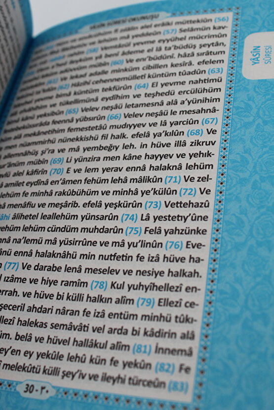 3’lü Metal Ayakkabılık (Beyaz-Kedi) | Göz Alıcı Tasarım ve Pratiklik