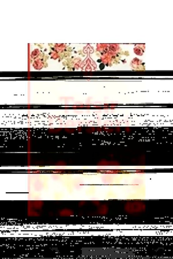 Vzn Fiber Optik Otoskop + Oftalmaskop Set