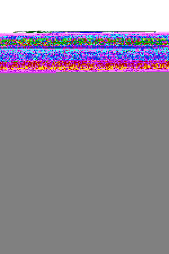 945 Pediatrik Walker