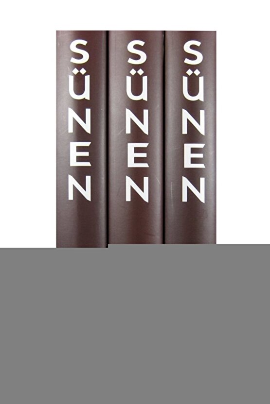 Poylin P787 Kol Dayamalı Lüks Rollatör