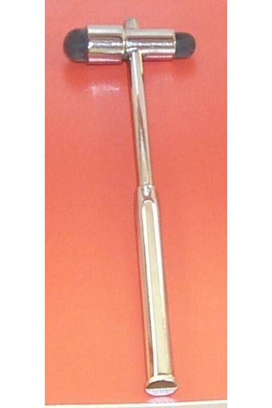 Refleks Çekici İğneli Fırçalı Küçük