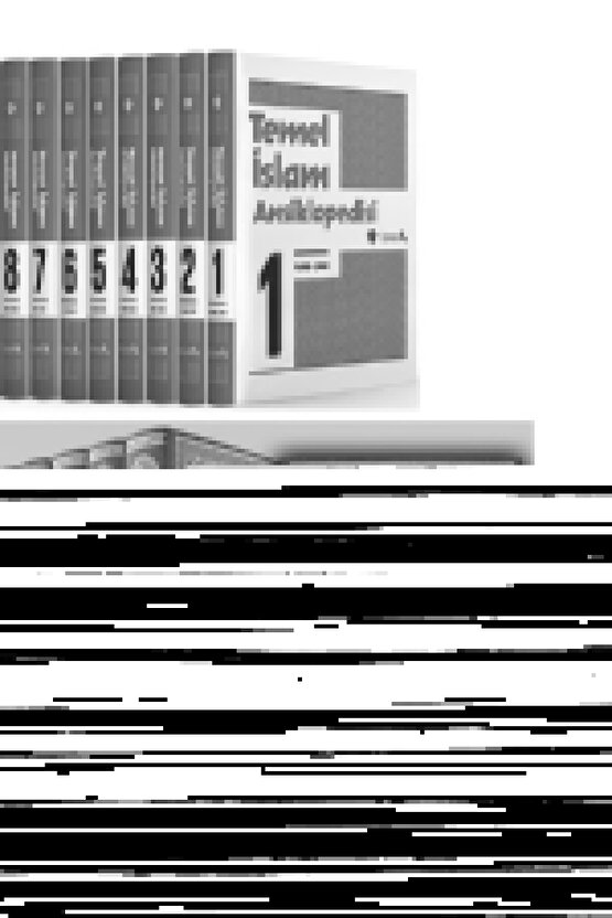 Poylin P958 Pediatrik Spastik Tekerlekli Sandalye Yetişkin