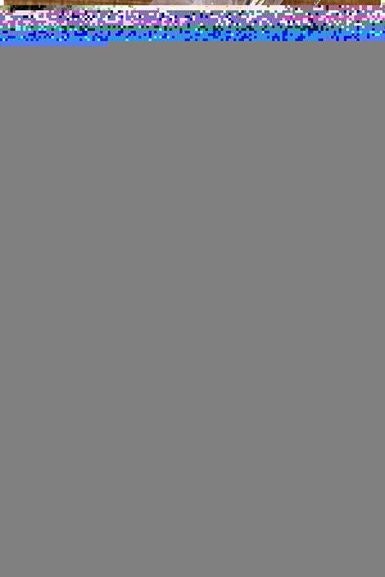 Advanced Memory Foam Akıllı Tabanlık 38-40 Numara Ayak