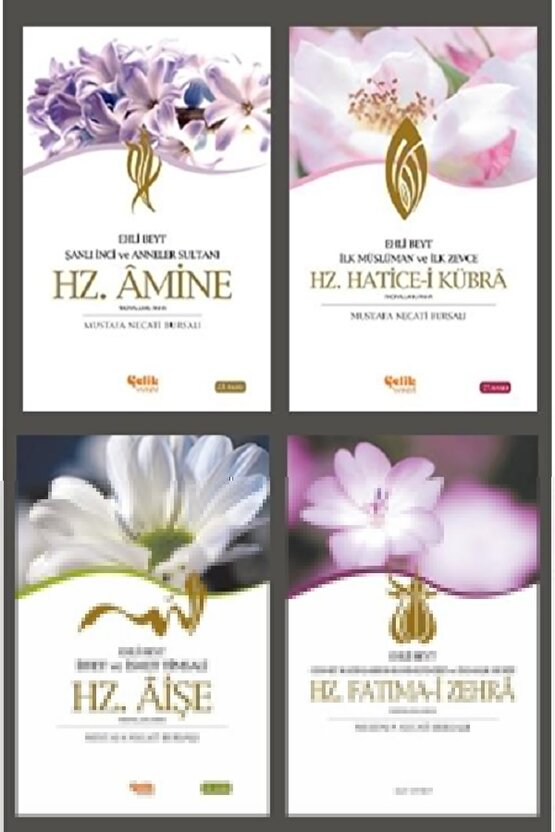 Renk Körlüğü Kitabı