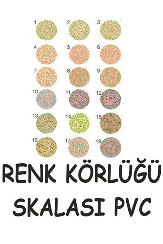 Renk Körlüğü Test Skalası