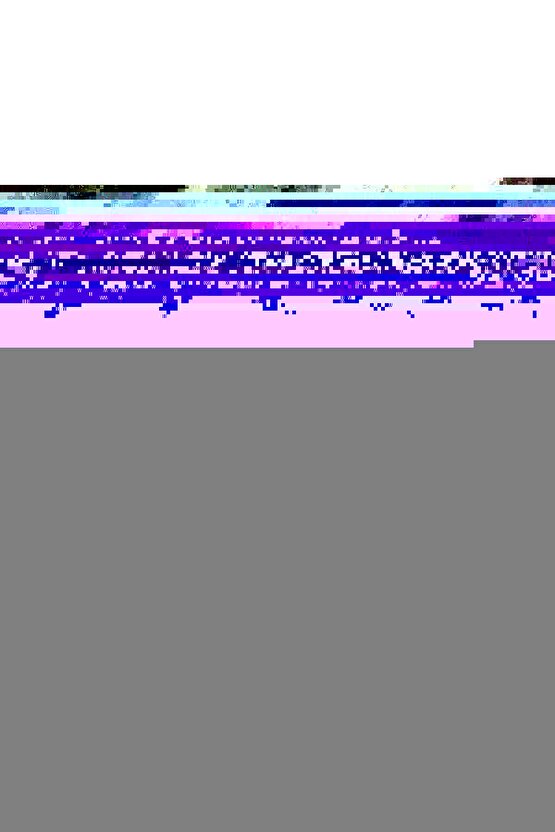 Tarih-i Taberi Tercümesi, 4 Cilt, Taberi Tarihi, Sağlam