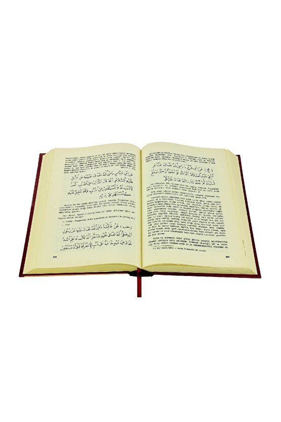 Tarikat-i Muhammediyye - Imam-ı Birgivi