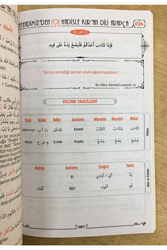 Efendimizden 101 Hadisle Kuran Dili Arapça, Enes Balı - Hüseyin Köksal, 17x24 Cm.