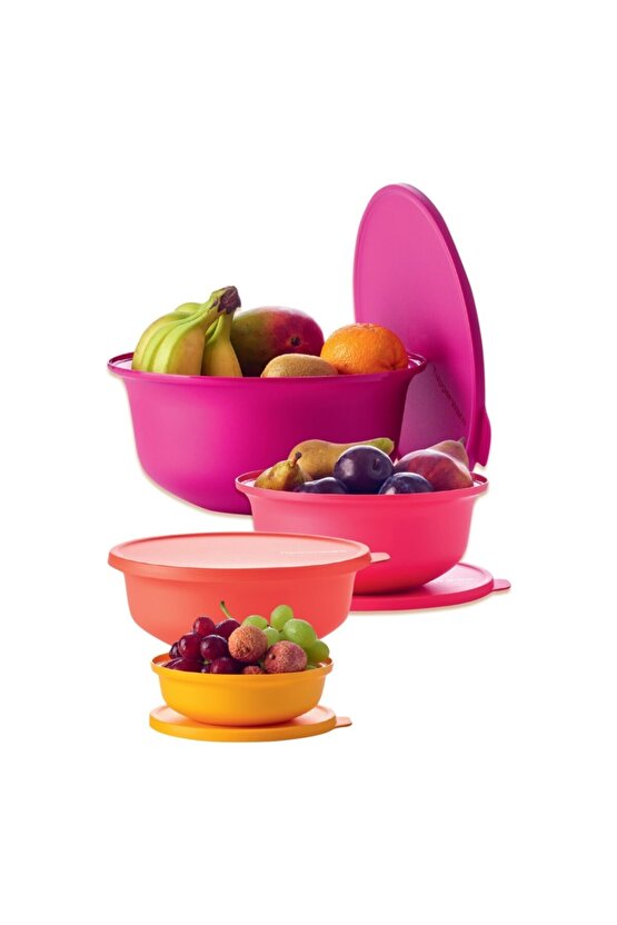 Aloha Set Saklama Kapları 4lü