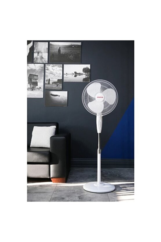 Maximus Merkür 16 Vantilatör Siyah