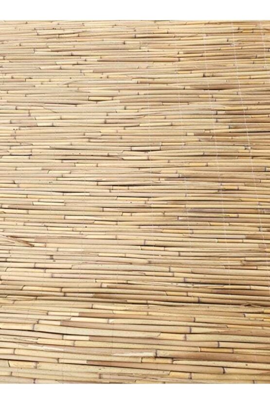 Kamış Çit Hasır Çit 1x4,5 Metre Eni 1 Metre Uzunluk 4,5 Metre