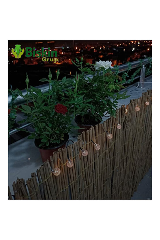 60cm x 4m Doğal Bambu Kamış Hasır Çit | Bahçe ve Balkon Dekorasyonu, Misina İpli Gölgelik