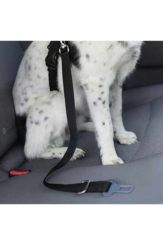 Köpek Araç Emniyet Kemeri Dayanıklı Kopmaz İp Toka Güvenli Rahat Kedi Köpek Emniyet Kemeri 80 CM