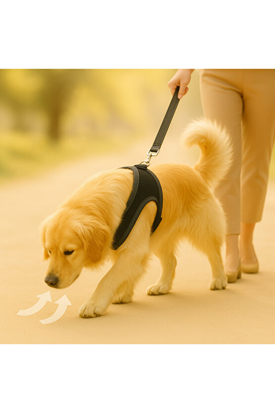 S-M-L Yıkanabilir Mesh Fileli Göğüs Tasması Nefes Alabilir Terletmez Dayanıklı Klipslı Cırtlı Tasma