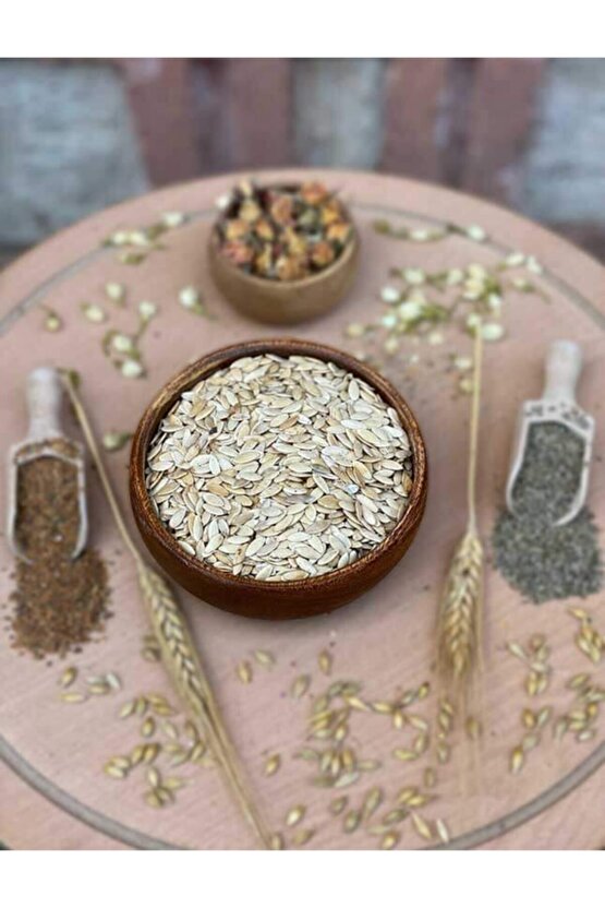 Çengelköy Salatalık Tohumu (açık Tohum)