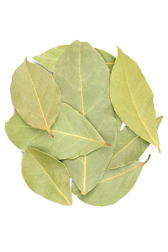 Defne Yaprağı 50gr. %100 Doğal Katkısız