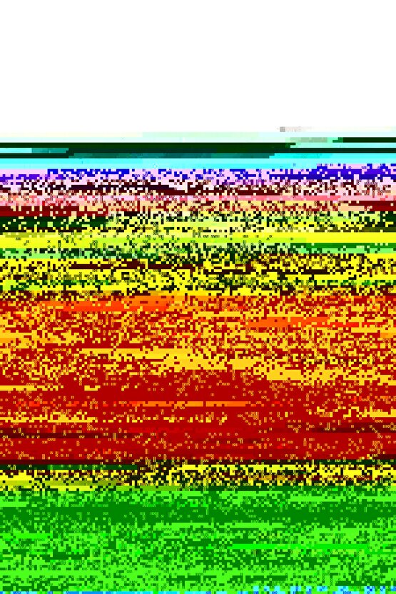 Funny Animals Pamuklu Bebe Nevresim Takımı Yeşil