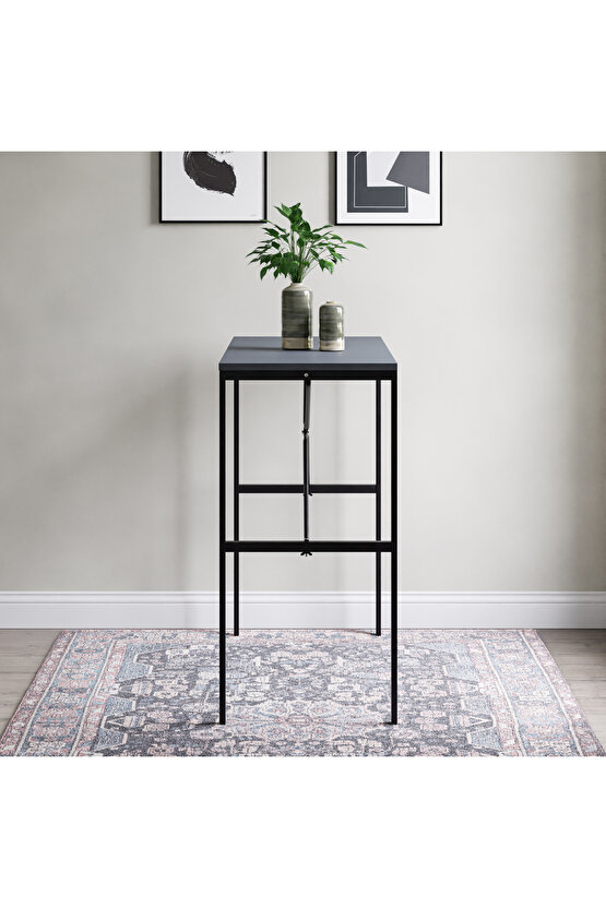 Bar Masası Bistro Masa Mutfak Yemek Masası Gzl Füme 1569