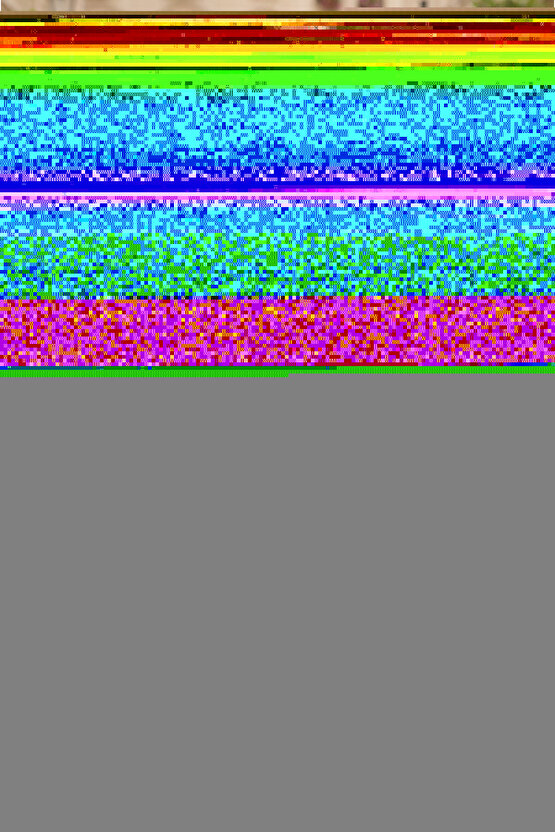 iPhone 13 Arka kapak Kılıf Kırmızı kenarlı rose