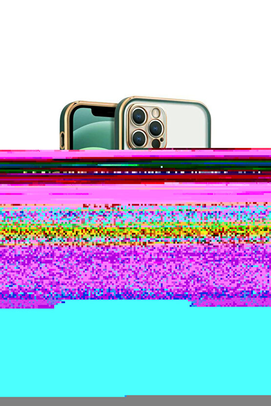 iPhone 13 Pro Arka kapak Kılıf Yeşil kenarlı rose