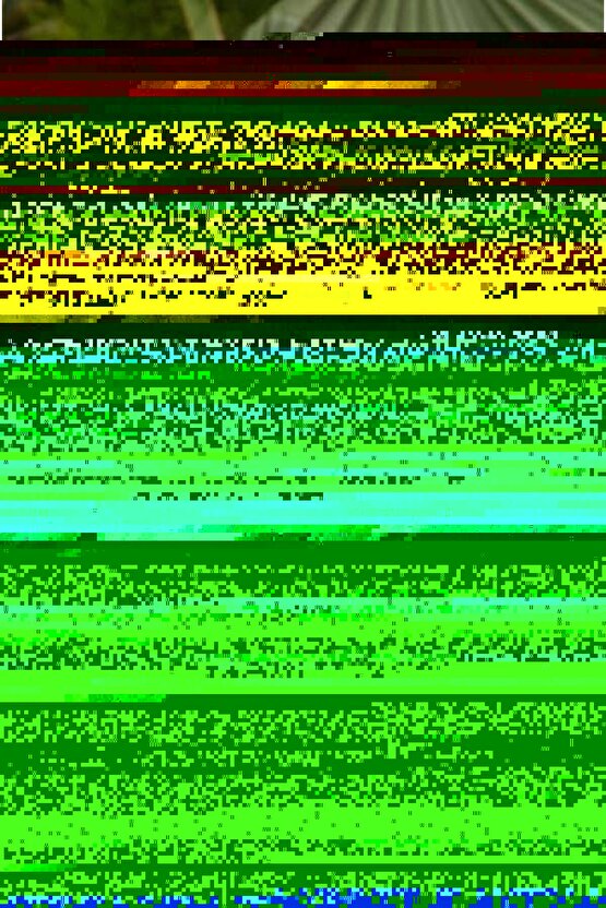 Kadın Oversize Şişme Mont Kapüşonlu - 4 Cep Detaylı Fermuarlı Kışlık Günlük Mont