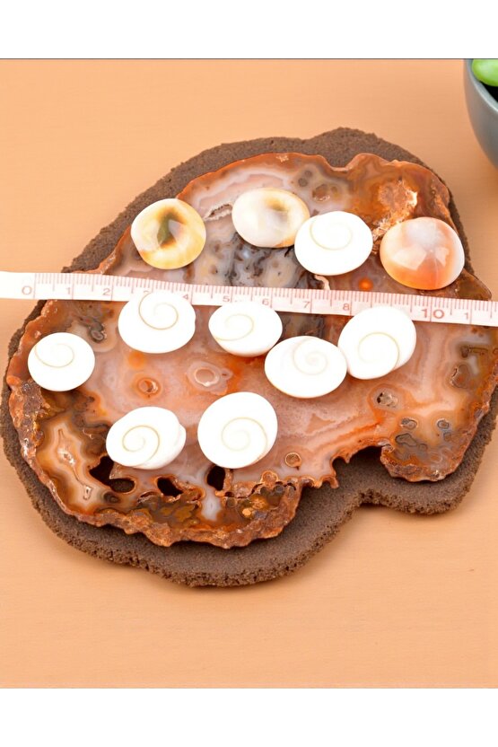 Yılancık Taşı 5 adet