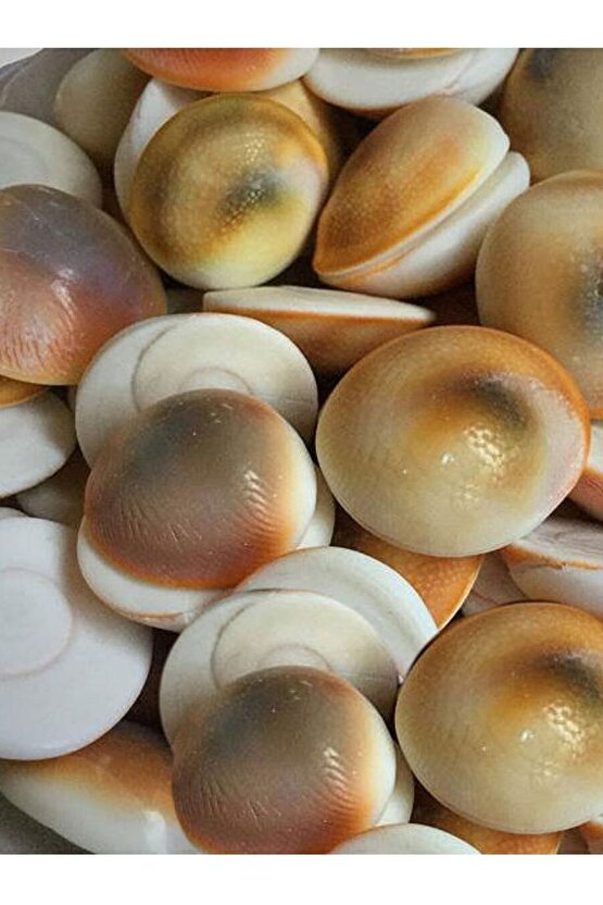 Yılancık Taşı 40 Adet