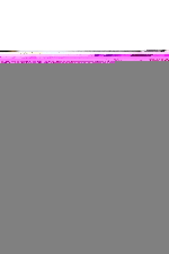 Hasta Yürüteci Walker Yürüteç 4 Ayaklı Yürüteç