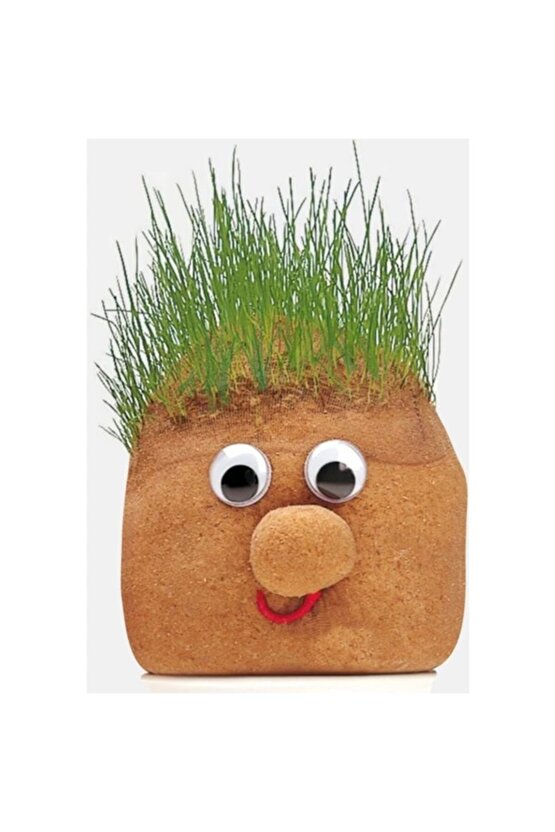 Ince Talaş Dökme 2 Kg