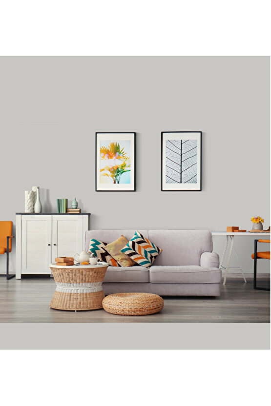 Momento Silan Tam Silinebilir ve Yıkanabilir Silikonlu İç Cephe Boyası