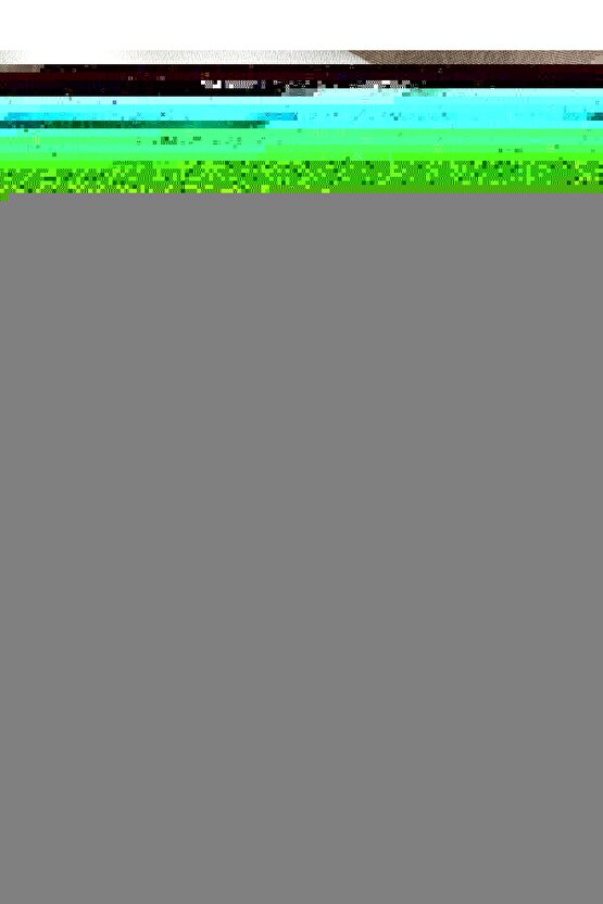 pileli plise sineklik 60x120