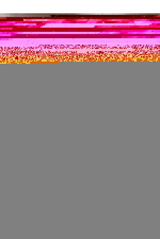 Momento Max Tam Silinebilir ve Yıkanabilir Silikonlu İç Cephe Boyası