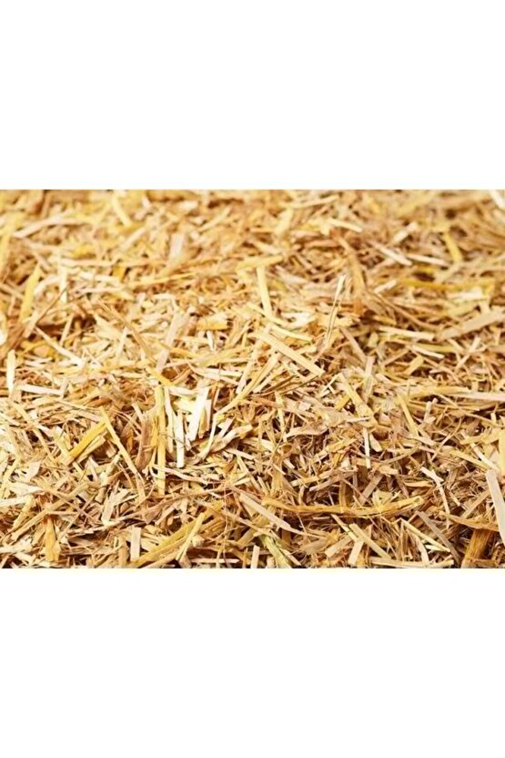 Akıllı Çocuk Renkli Bloklar 100 Parça