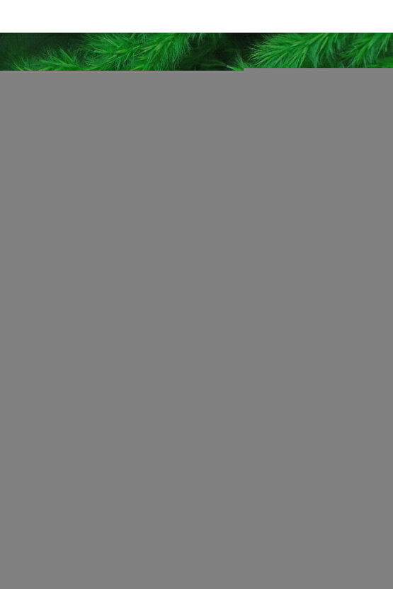 Ultrason Jel 1 lt 20 Adet