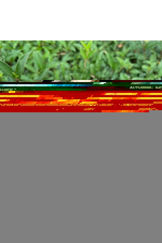 Plastik Kasa Modern Tasarım İç ve Dış Mekan, Bahçe, Balkon, Teras Avizesi, Elektrikle Çalışır Sarkıt