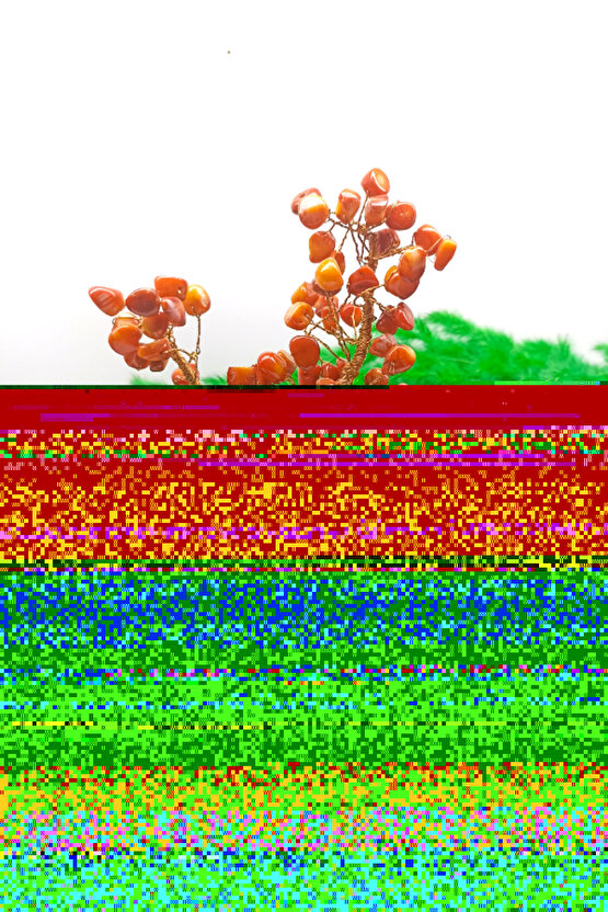 10 Metre 10 Duylu Dış Mekan Ampul Haric Organizasyon Bahçe Aydınlatma