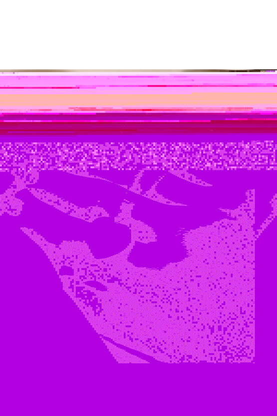 Kalp Kesim Sıvama Doğal Beyaz Kuvars Taşlı Kadın Kolye