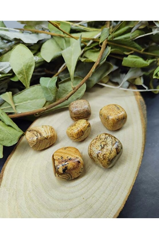 Odun Jasper Doğal Taş Tımbıl (sertifikalı)