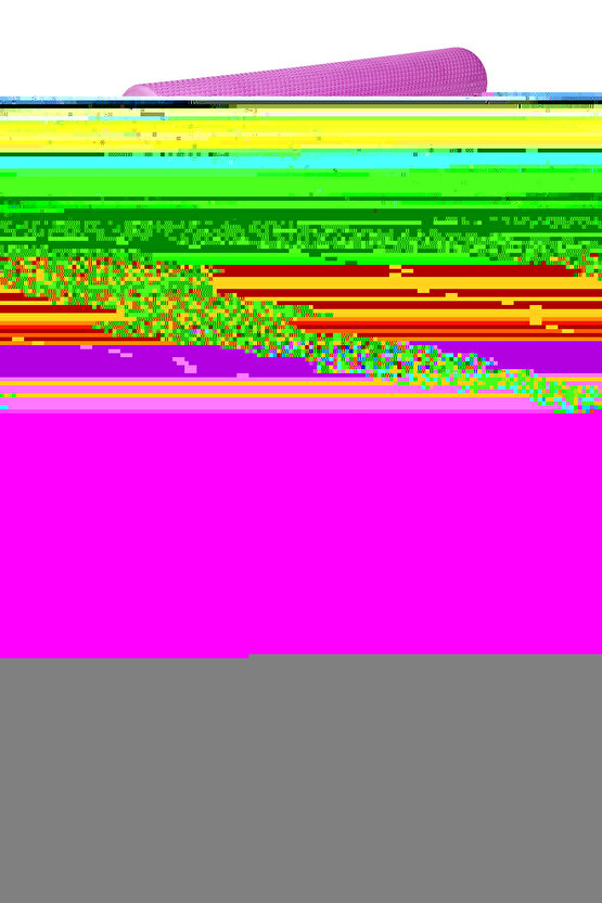 Ev Tipi Aile Dikiş Makinesi Sürfile Overlok Ayak  CY-7310