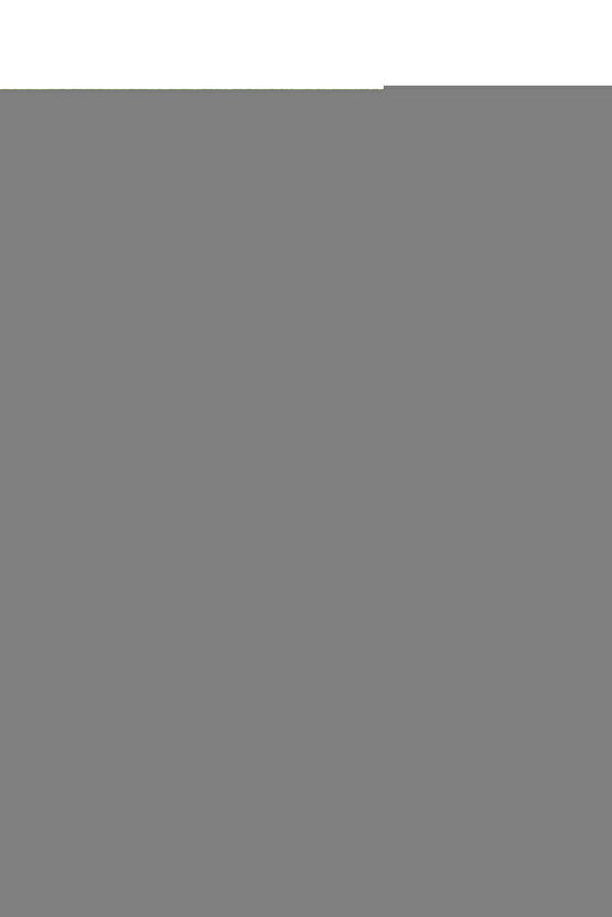 Temizlik Fırçası  BR2