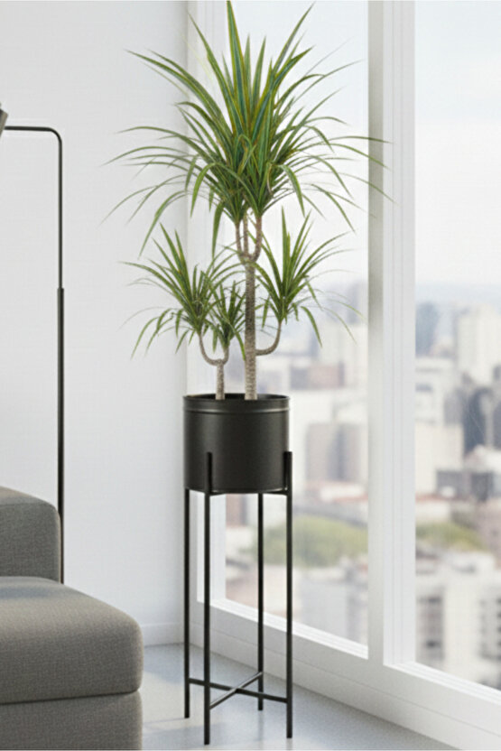 Siyah Dekoratif Ayaklı Metal Çiçeklik | 64 Cm Saksılık