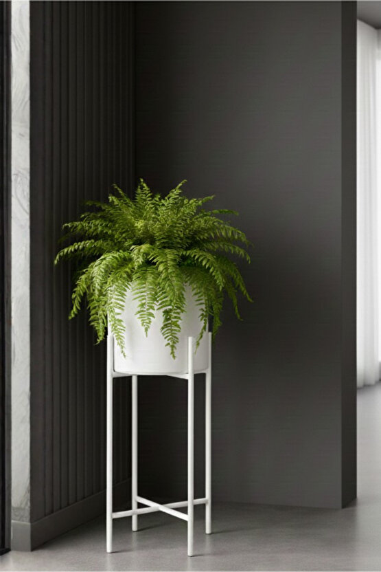 Beyaz Dekoratif Ayaklı Metal Çiçeklik | 72cm Saksılık