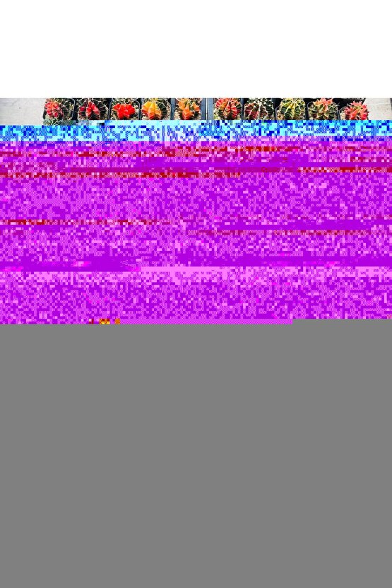 Sour Yeşil Elma Aromalı Şekersiz Tatlandırıcılı Ekşi Draje Sakız 56 g x 6 Adet