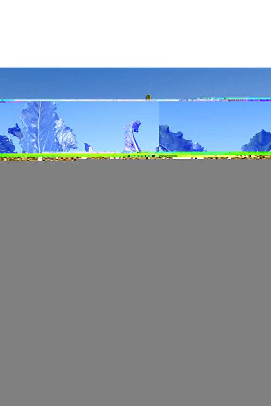 Şekerli Sakız Karışık Meyve Aromalı 18 Adet x 27 g