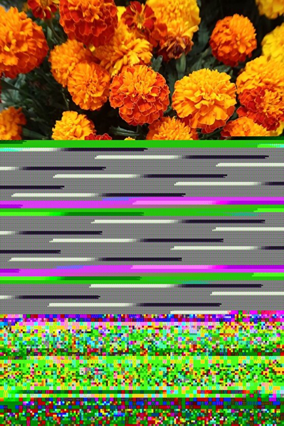 Deluxe 1-0 Siyah Zengin Yağ Bakımı Kit Saç Boyası Bakım Maskesi