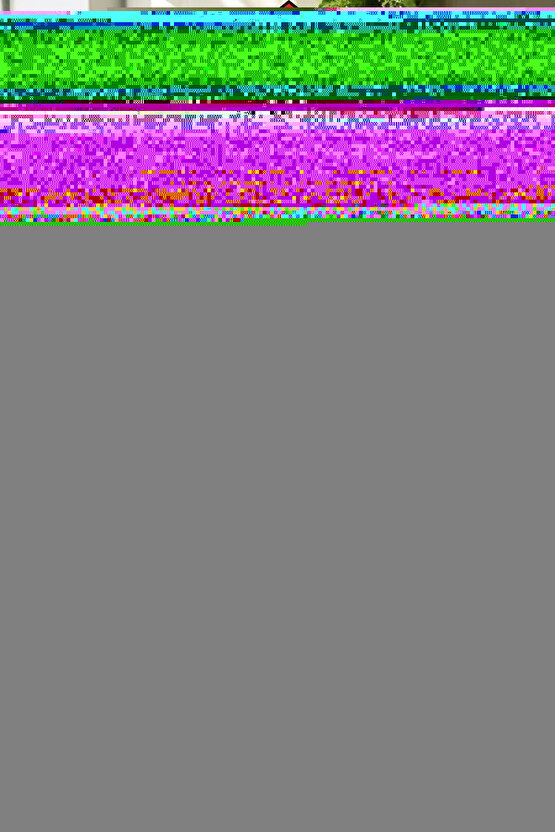 Lemlem Hw 78 Tight Kadın Tayt