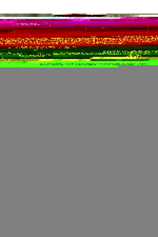 Golovin Erkek Gömlek