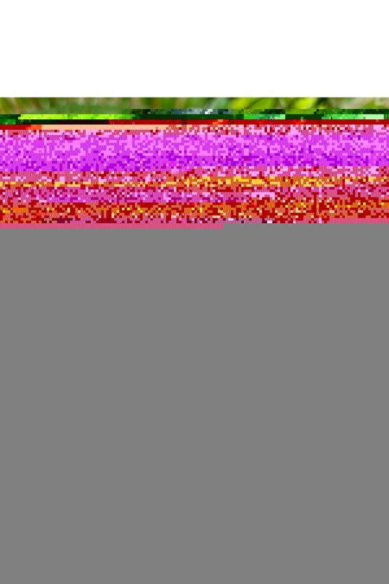 BÜYÜK BOY RGB LED IŞIKLI BLUETOOTH HOPARLÖR ŞARJLI KABLOSUZ HOPARLÖR KARAOKE MİKROFONLU SPEAKER