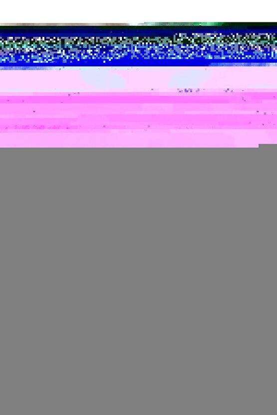 CHARGE3 BLUETOOTH SPEAKER KABLOSUZ ŞARJLI TAŞINABİLİR HOPARLÖR SD KART USB AUX GİRİŞLİ